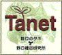 Tanet